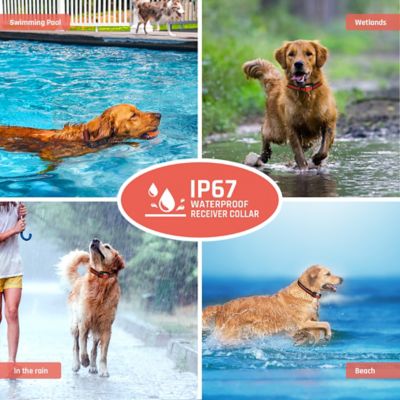 Image showing  435 yd. Rechargeable Remote Dog Trainer