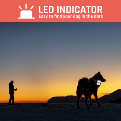 Image showing  435 yd. Rechargeable Remote Dog Trainer