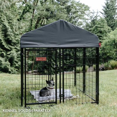 Image showing 7 th Lucky Dog Studio & Studio Jr 4 x 4 ft. Canopy Kennel Cover, Steel Grey
