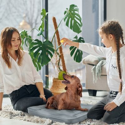 Image showing  Orthopedic Pet Bed Crate Mat