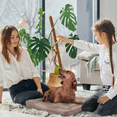 Image showing  Orthopedic Pet Bed Crate Mat