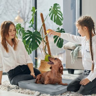 Image showing  Orthopedic Pet Bed Crate Mat