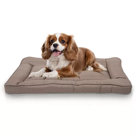 Precious Tails Orthopedic Pet Bed Crate Mat Crate Mats