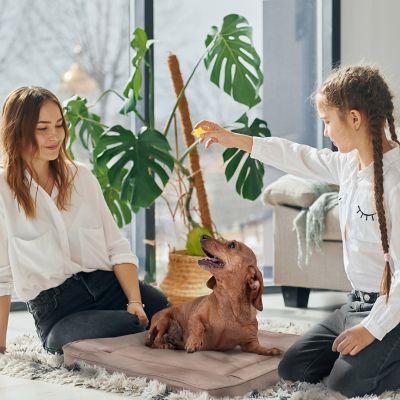 Image showing  Orthopedic Pet Bed Crate Mat