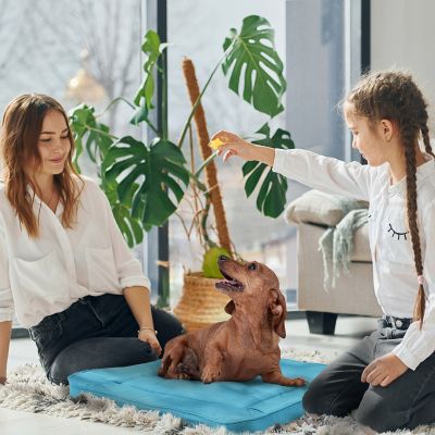 Image showing  Orthopedic Pet Bed Crate Mat