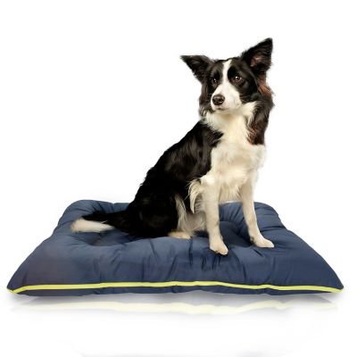 Precious Tails Go Anywhere Pet Bed