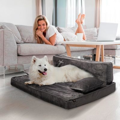 Image showing  Modern Sofa Pet Bed