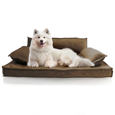 Product TrademarkColor1