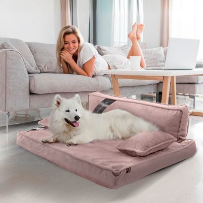 Image showing  Modern Sofa Pet Bed