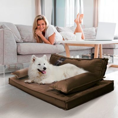 Image showing  Modern Sofa Pet Bed