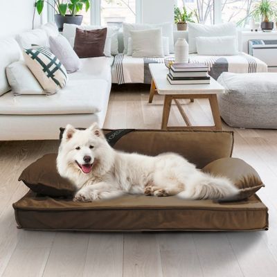 Image showing  Modern Sofa Pet Bed