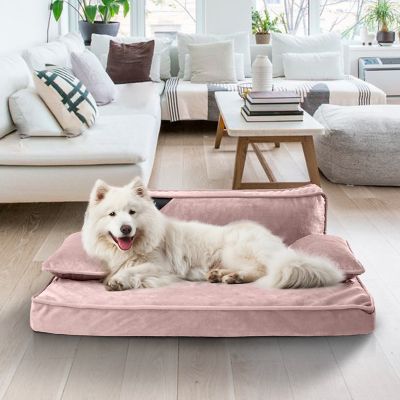 Image showing  Modern Sofa Pet Bed