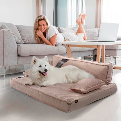 Image showing  Modern Sofa Pet Bed