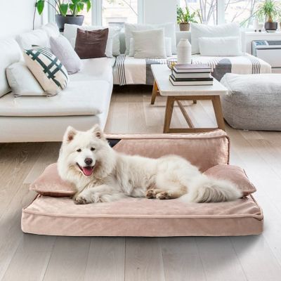 Image showing  Modern Sofa Pet Bed