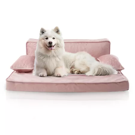 Precious Tails Modern Pet Sofa Bed Bolster Dog Beds