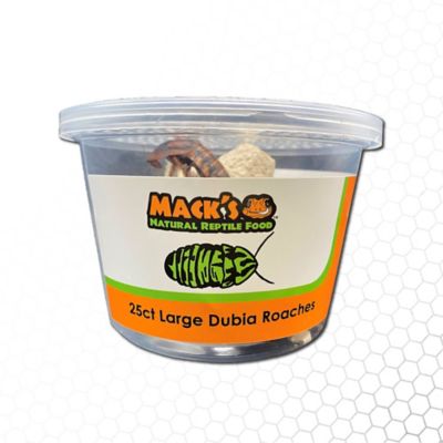 Reptiles By Mack Dubia Roaches, 25 ct.