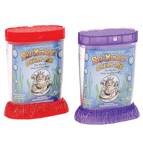 Schylling Ocean-Zoo Sea Monkeys Pet Play Kit at Tractor Supply Co.