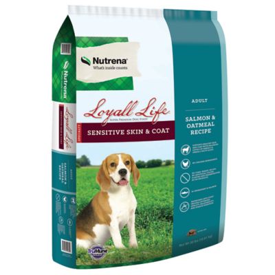 Nutrena Loyall Life Adult Sensitive Skin and Coat Salmon and Oatmeal Recipe Dry Dog Food