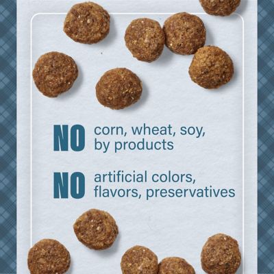 Image showing 5 th Nutrena Loyall Life Adult Sensitive Skin and Coat Salmon and Oatmeal Recipe Dry Dog Food, 30 lb. Bag