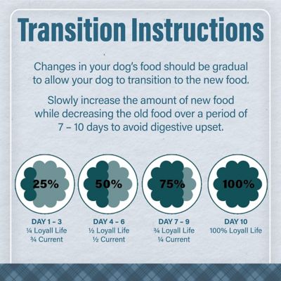 Image showing 8 th Nutrena Loyall Life Adult Sensitive Skin and Coat Salmon and Oatmeal Recipe Dry Dog Food, 30 lb. Bag