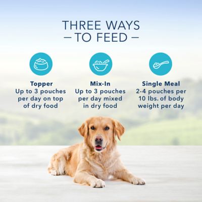 Image showing  Delectables Adult Natural Chicken and Beef Chunks Wet Dog Food Variety Pack, 3 oz. Pouch, Pack of 12