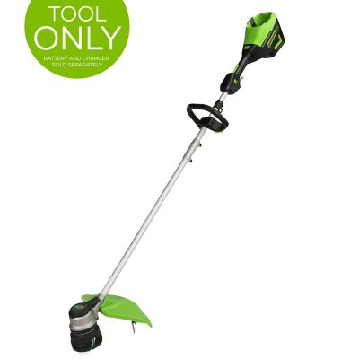 Senix GTX2-L 20 Volt Max 10-In. Cordless String Trimmer, 2 Ah Battery