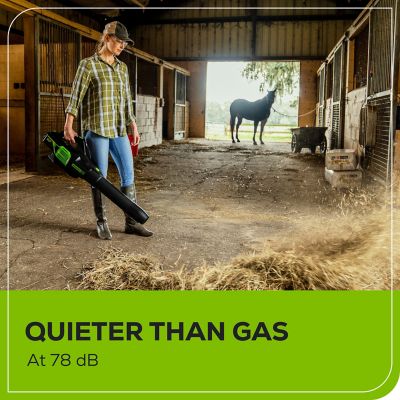 Image showing  170 MPH/700 CFM 60V Cordless Handheld Leaf Blower, Battery and Charger Not Included