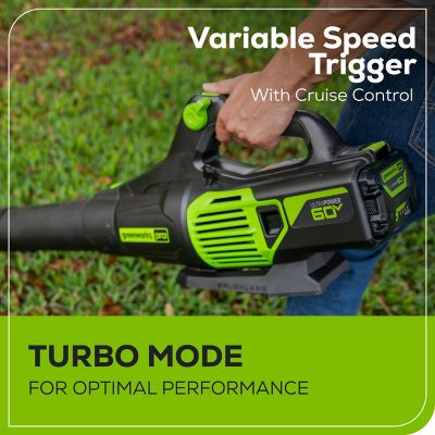 Image showing 5 th Greenworks 170 MPH/700 CFM 60V Cordless Handheld Leaf Blower, Battery and Charger Not Included