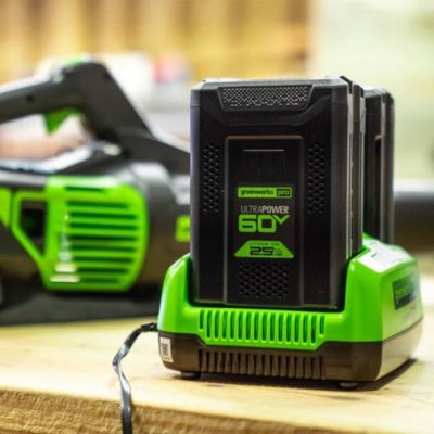 Image showing  6A 60V UltraPower Lithium-Ion Dual-Port Battery Charger