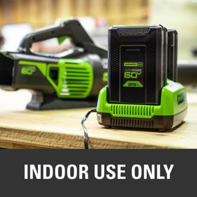 Image showing 5 th Greenworks 6A 60V UltraPower Lithium-Ion Dual-Port Battery Charger