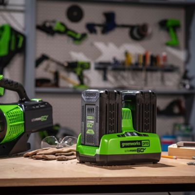 Image showing 6 th Greenworks 6A 60V UltraPower Lithium-Ion Dual-Port Battery Charger