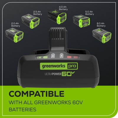 Image showing  10A 60V UltraPower Lithium-Ion Rapid Dual-Port Battery Charger