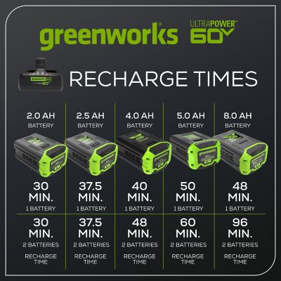 Image showing 5 th Greenworks 10A 60V UltraPower Lithium-Ion Rapid Dual-Port Battery Charger