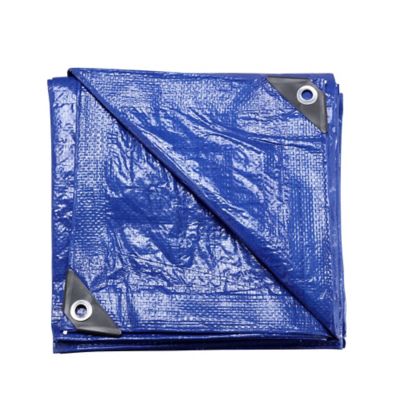 Image showing  10 ft. x 12 ft. Light-Duty Poly Tarps, Blue, 2-Pack