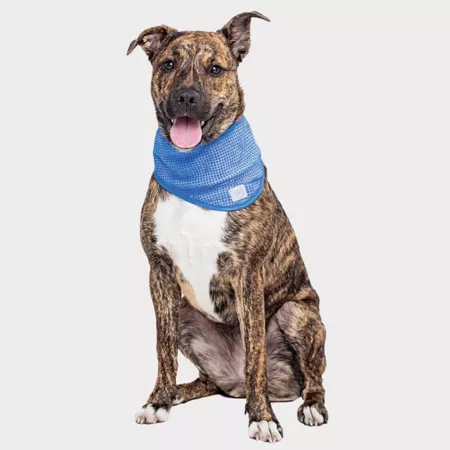 GF Pet Cooling Ice Strip Cooling Vests