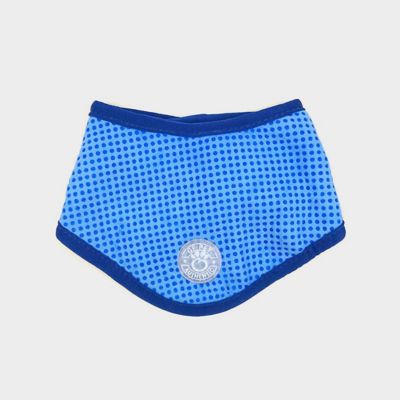 Image showing  Cooling Ice Band