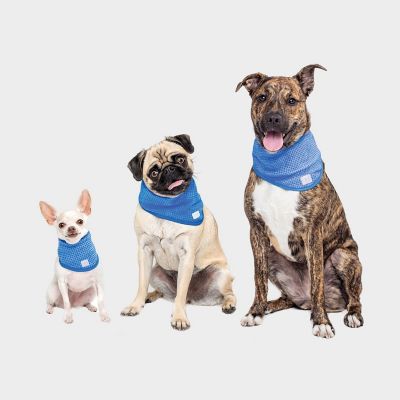 Image showing  Cooling Ice Band