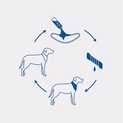 Image showing  Cooling Ice Band