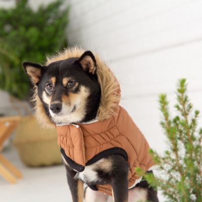Image showing  Elasto-Fit Urban Dog Parka