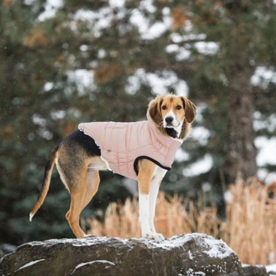 Image showing  Elasto-Fit Urban Dog Parka