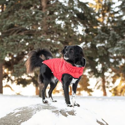 Image showing 3 th GF Pet Reversible Elasto-Fit Chalet Dog Jacket