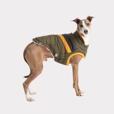 Image showing  Alpine Puffer Dog Sweater