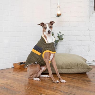 Image showing  Alpine Puffer Dog Sweater