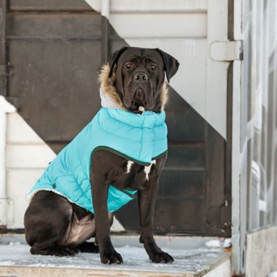 Image showing  Winter Sailor Dog Parka