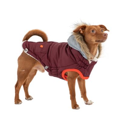 Image showing  Winter Sailor Dog Parka