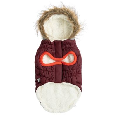 Image showing  Winter Sailor Dog Parka