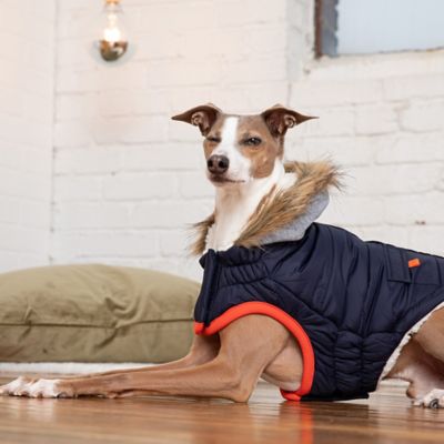 Image showing 3 th GF Pet Winter Sailor Dog Parka