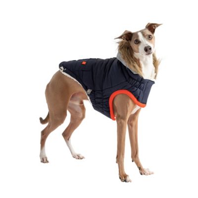 Image showing  Winter Sailor Dog Parka