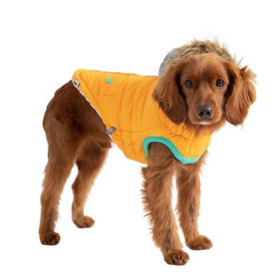 Image showing 2 th GF Pet Winter Sailor Dog Parka
