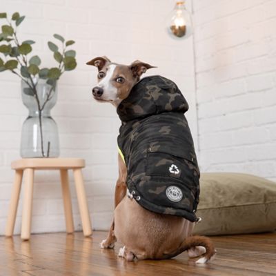 Image showing 5 th GF Pet Recycled Dog Parka